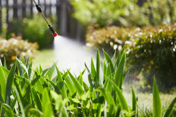 24/7 Emergency Wasp Removal experts in Fairfield, IL