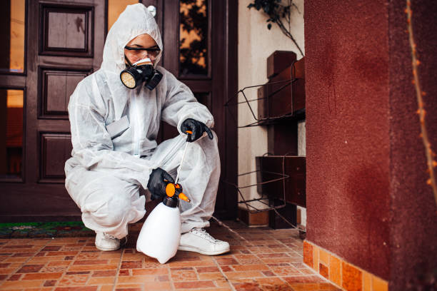 Reliable Wasp Removal contractor in Fairfield, IL by Show Me Pest Control