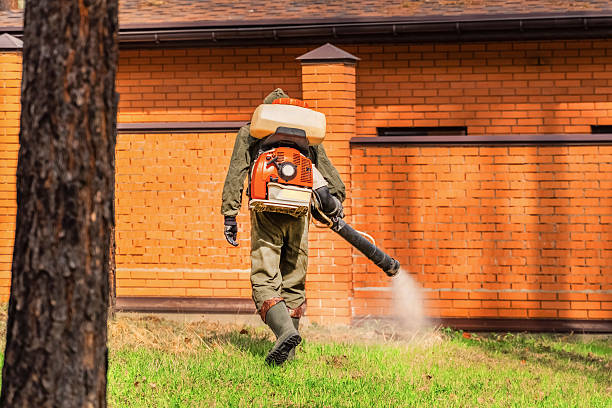 Top rated local Wasp Removal specialists in Fairfield, IL